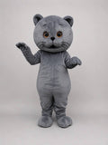 Cute Cat Character Suit