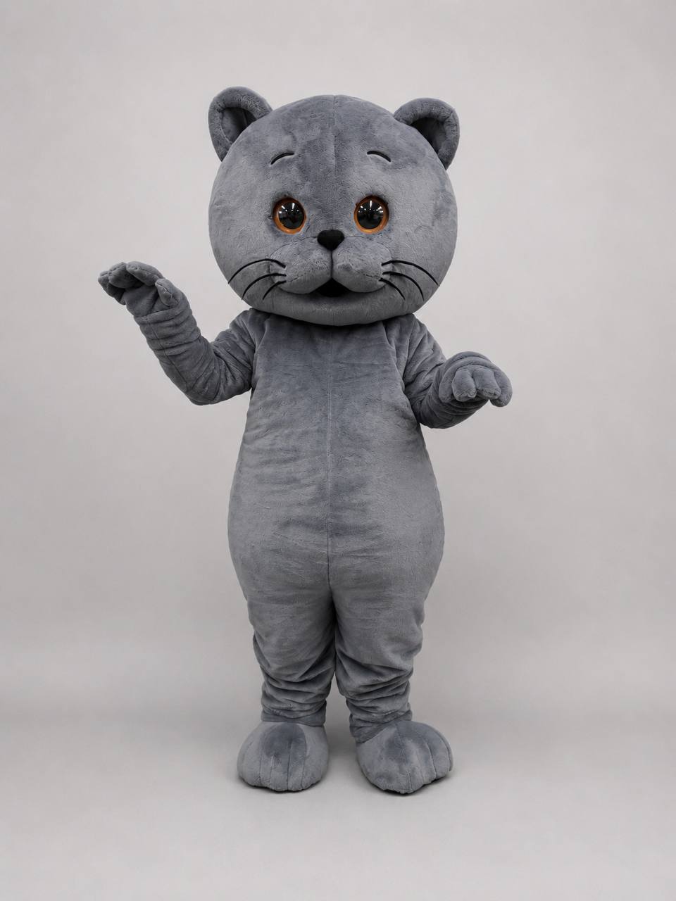 Cute Cat Character Suit